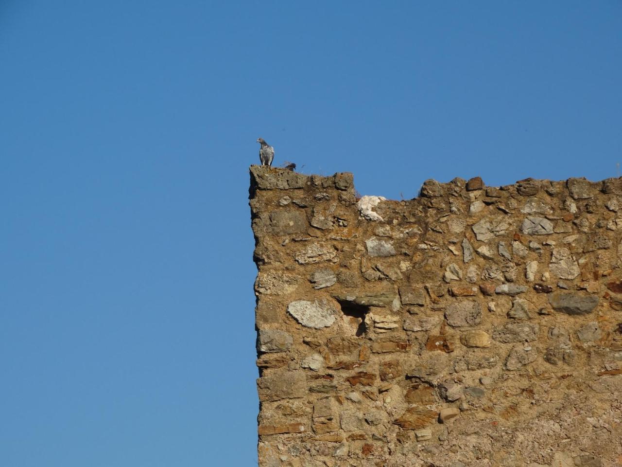 Sa Mendua E Sa Pruna Casa Al Mare Iglesias Luaran gambar